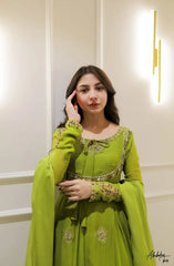 Lime Green Flowy Anarkali Suit with Embellished Border